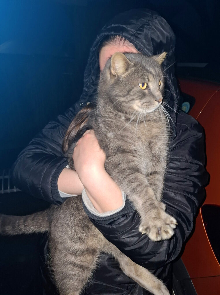 Škilko